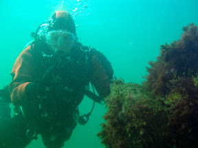 The skipper actually diving! (and commenting on how nice it is to have a photographer as a buddy)