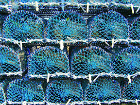 Creels on Burray Pier