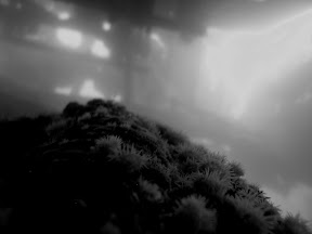 Low light makes for a moody shot inside the Tabarka