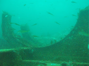 Lifeboat cradle at 30m taken with natural light