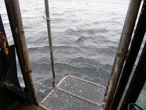 The diver lift platform