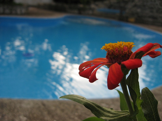 [IMG_119910.jpg]