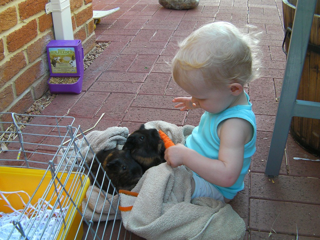 [2011 01 21_McCrystals_0009[3].jpg]