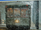 PC110116.JPG