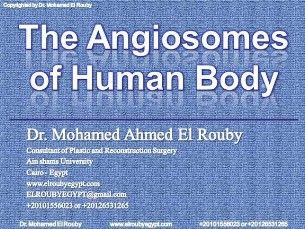 angiosome of human body
