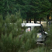 img_1257247228_221.jpg