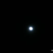img_1257247511_950.jpg
