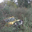img_1269429868_818.jpg