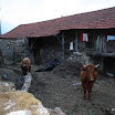 img_1289178414_437.jpg