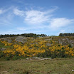 img_1225669317_644.jpg