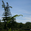 img_1225669305_765.jpg