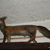 img_1225669361_876.jpg
