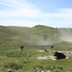 img_1225669107_422.jpg