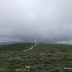 img_1243183733_652.jpg