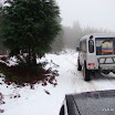 img_1243017058_351.jpg