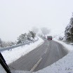 img_1243016844_59.jpg