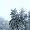 img_1243016814_672.jpg