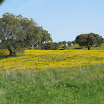 IMG_1120.JPG