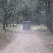 IMG_1319.JPG