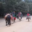 IMG_1330.JPG