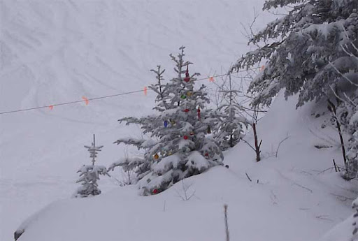 OkemoXmasTree.jpg