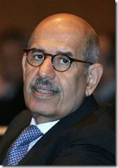 البرادعي البرادعي