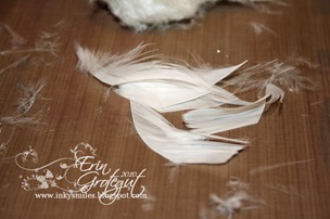 IMG_1832web IMG_1832web