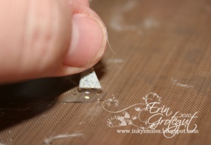 IMG_1851web IMG_1851web