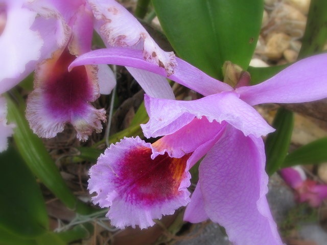 [IMG_4205_23.jpg]