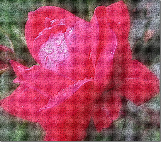 IMG_438712