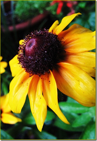 IMG_0204 IMG_0204