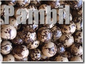 pambil