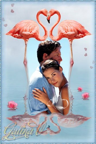 Original Photo Framework - Pink Flamingos