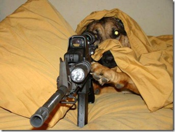 Beware-Of-Sniper-Animals4