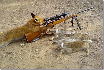 Beware-Of-Sniper-Animals