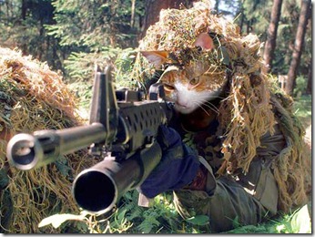 Beware-Of-Sniper-Animals7