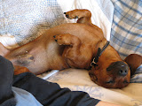 IMG_2268.JPG