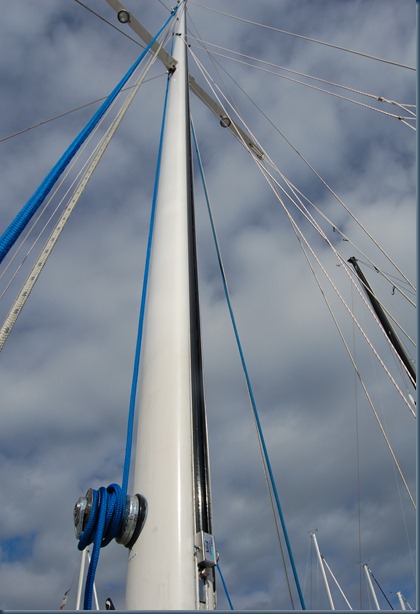 DSC_1194 DSC_1194
