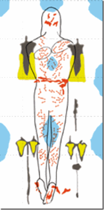 clip_image003