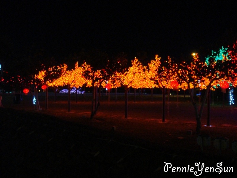 [DSC050002.jpg]