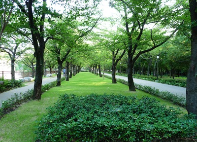 [jardim ao redor do fosso do castelo[4].jpg]