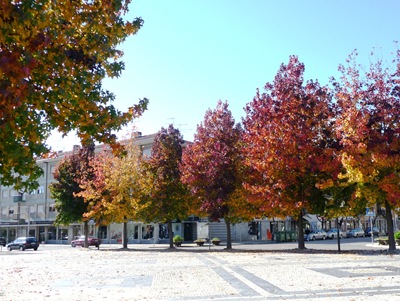 [Agueda - praça dr. antonio breda[7].jpg]