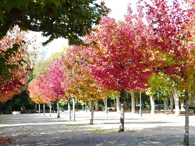 [Curia - termas 5[6].jpg]