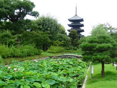 [5.templo Toji- pagode e flor de lotus[4].jpg]