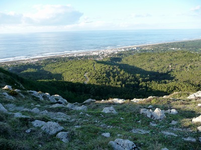 [Figueira da Foz - vista a partir da serra da Boa Viagem[4].jpg]