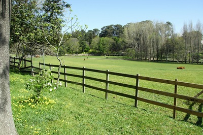 [jardim serralves - fazenda[4].jpg]