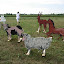 DSCN3406.JPG