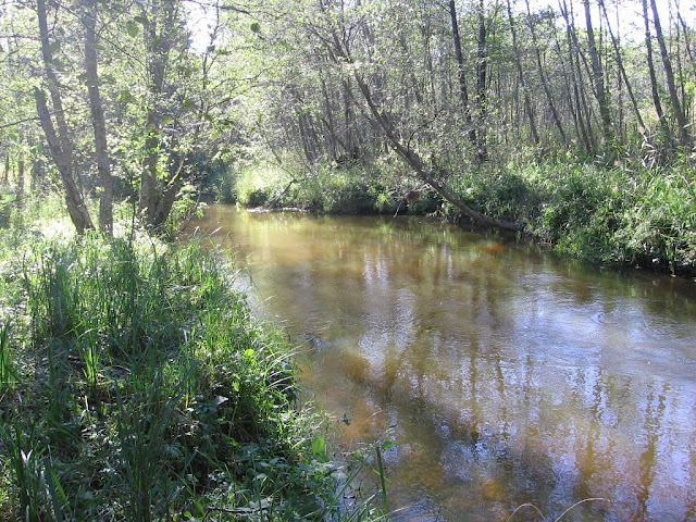 Paveikslėlis