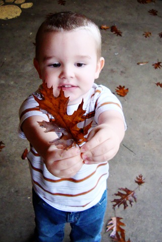 [DSC00058[3].jpg]