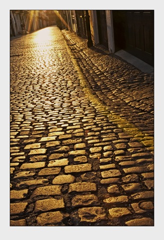 [Follow_the_Yellow_Brick_Road_by_djoel[9].jpg]